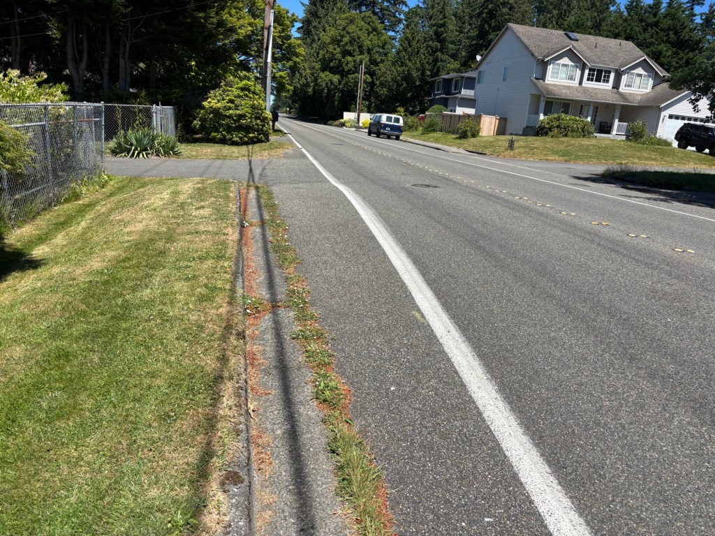 A view of a quiet suburban street with a grassy sidewalk, a chain-link fence, and several trees lining the road. In the distance, houses and parked vehicles are visible on either side.